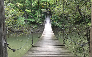swinging bridge-Nature Preserve