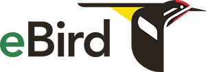 Identify birds eBird app