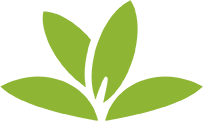 Identify plants PlantNet app