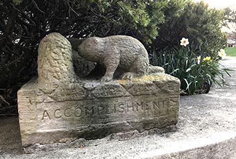 Accomplishment Beavers Accomplishment Beavers