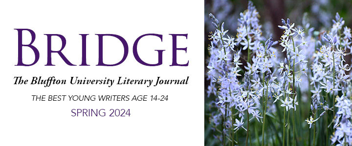 Bridge Spring 2024
