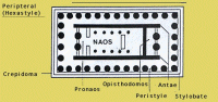 Plan of Doric temple