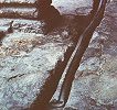 Lead pipe