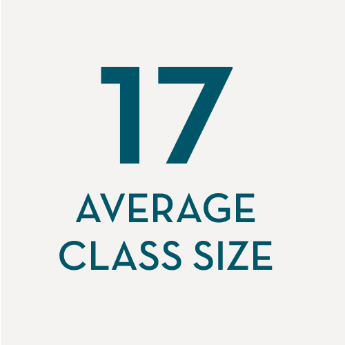 Average class size - 17 students