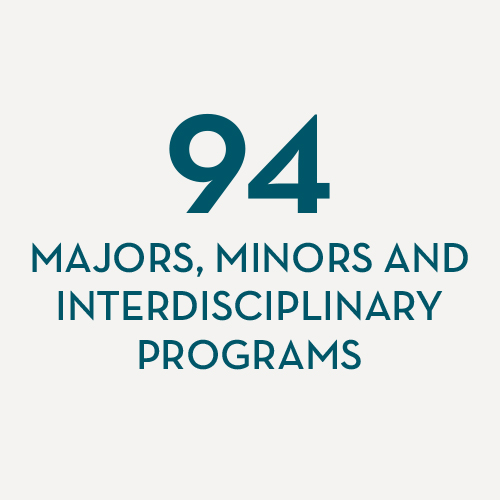 Majors/minors/programs