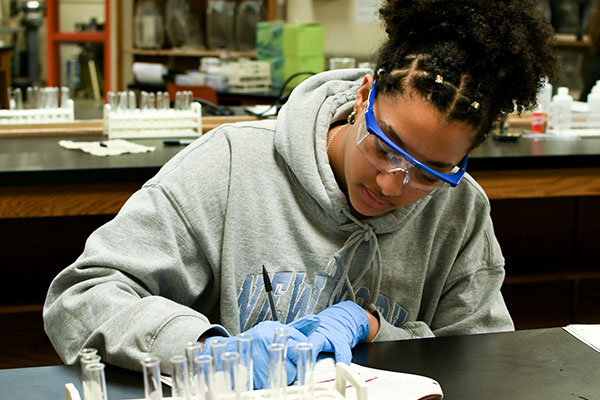 STEM studies STEM studies