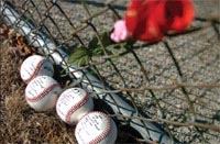 Baseball Baseball