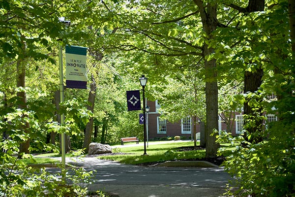 Musselman Library green