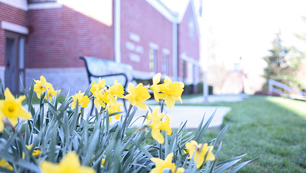 Spring flowers on campus Spring flowers on campus