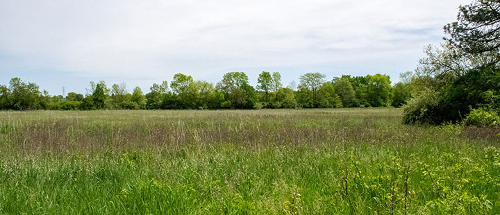 Bluffton University Nature Preserve