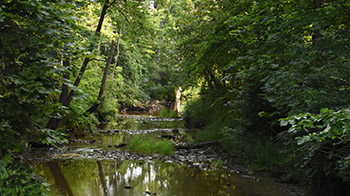 Bluffton University Campus