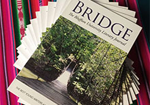 bridge cover