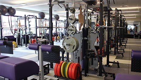 weights area