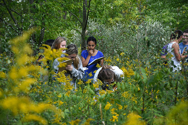 Environmental studies in the Nature Preserve