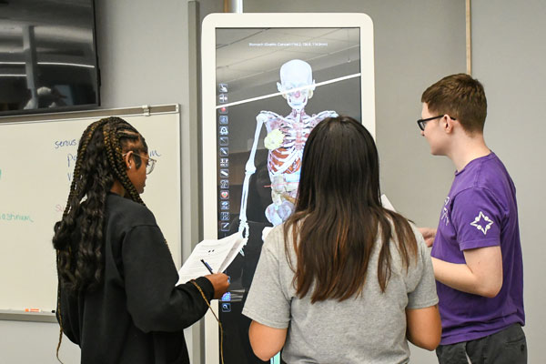 Majors selected include long-established programs with experienced teaching faculty as well as majors that are in demand both regionally and across the state. 