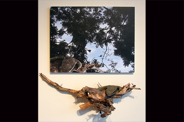 Works by Merrill Krabill displayed Aug. 26-Oct. 18, 2019.