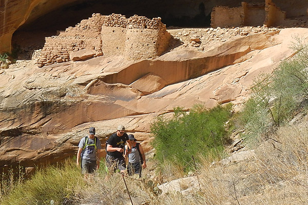 Arizona cross cultural