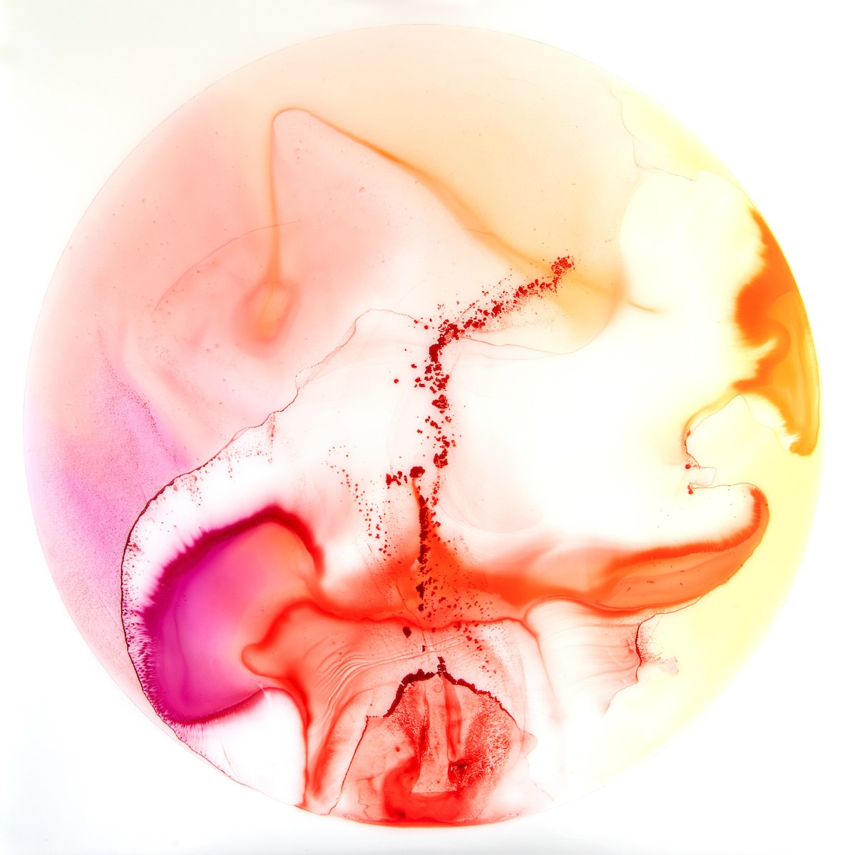 “Anthrotopographies” by John Sabraw