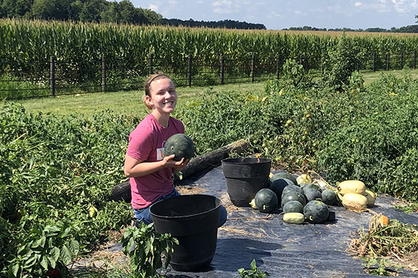 Harvest Dinner: From Farm to Table