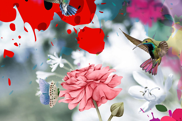 The Artistic Jungle Series