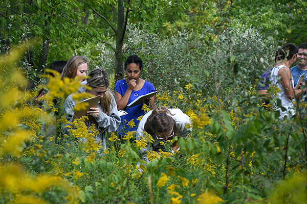 Bluffton students identify plants in the Nature Preserve prairie. 